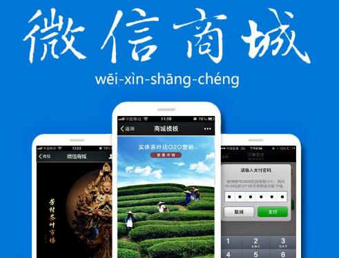微信商城系統開發在功能上有哪些要求