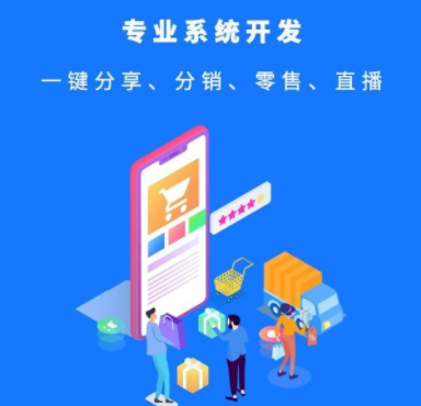 分銷系統開發怎么才能夠有效提升營業額？