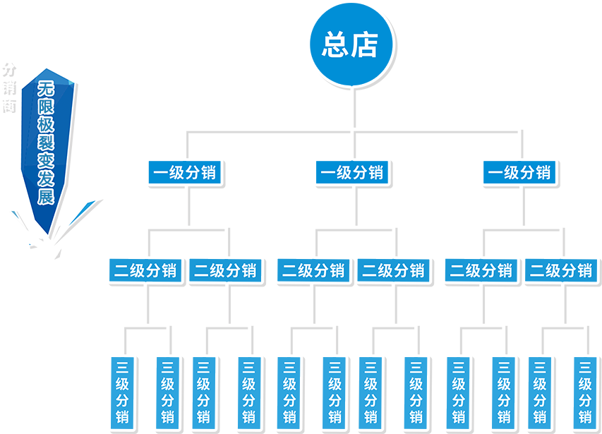 品牌分銷商網絡